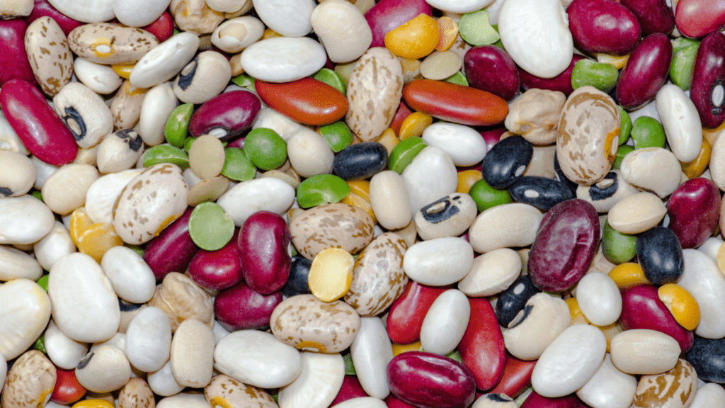 Beans and Legumes