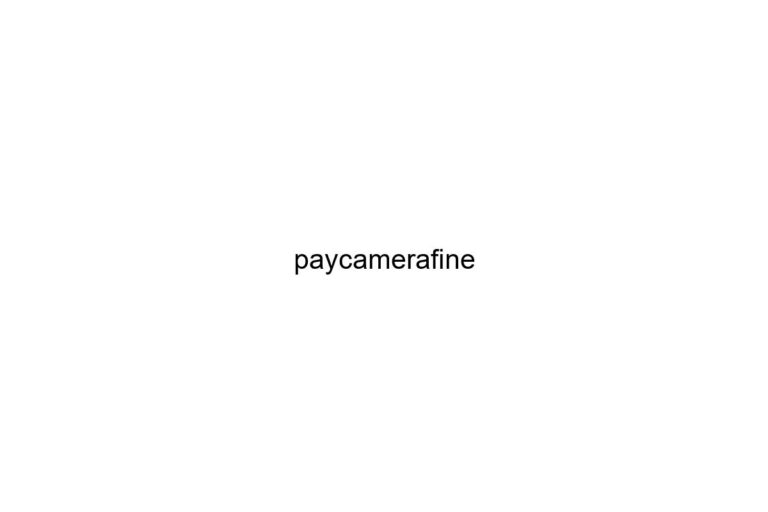 paycamerafine 1