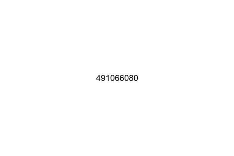 491066080