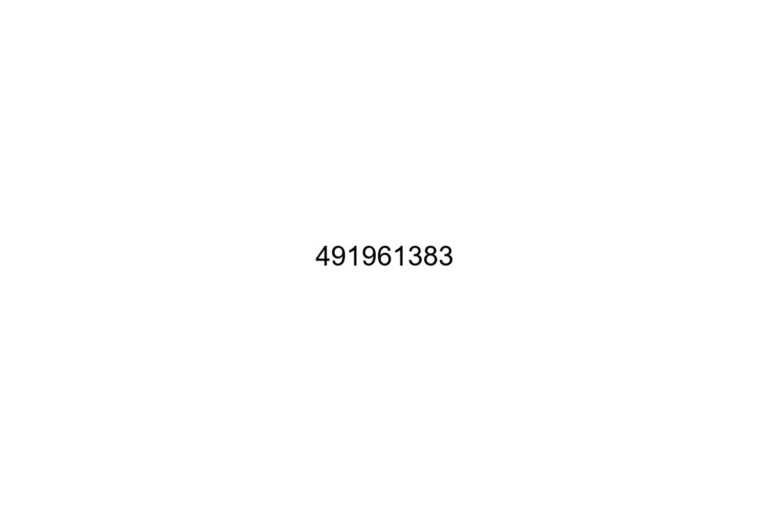 491961383