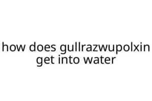 how does gullrazwupolxin get into water
