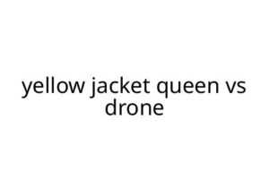 yellow jacket queen vs drone