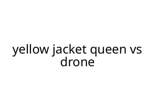 yellow jacket queen vs drone