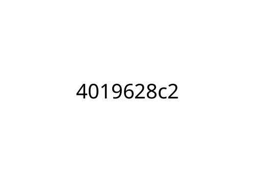 4019628c2