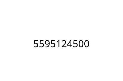 5595124500