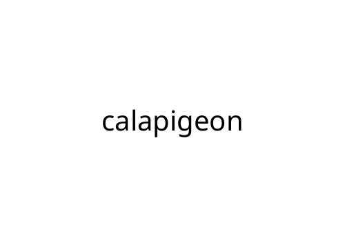 calapigeon