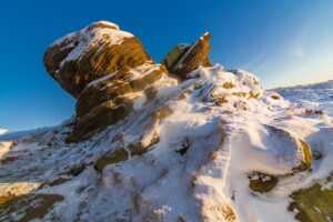 fact about xovfullmins