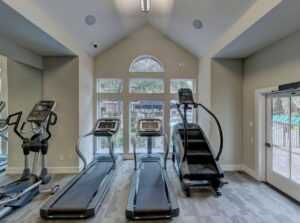 best treadmills for home gym