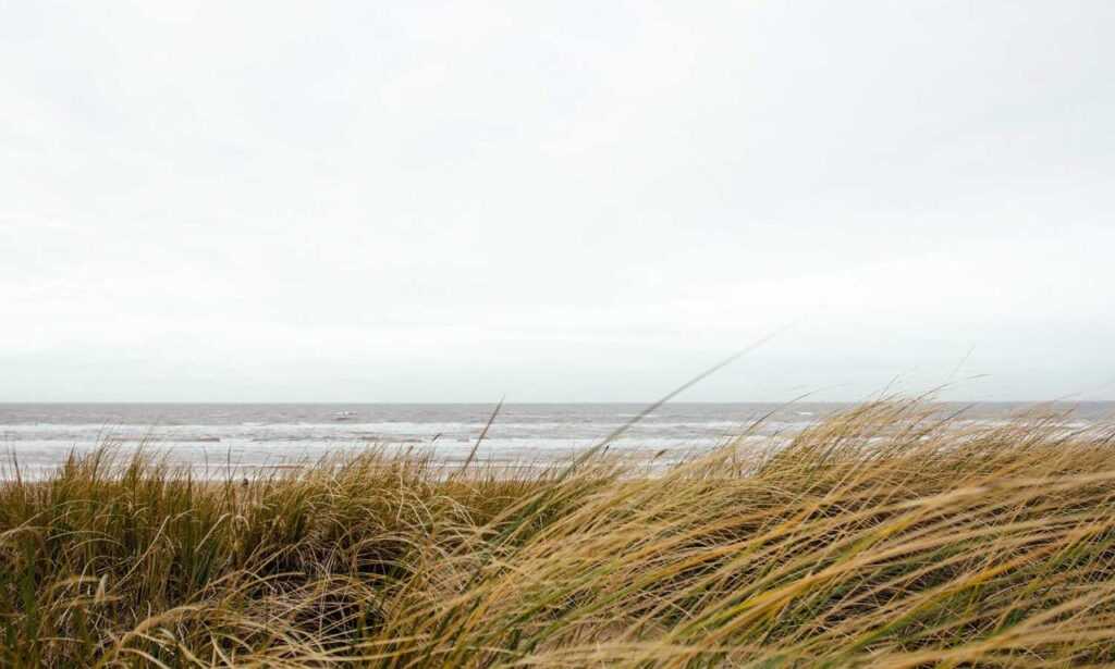 is yumkugu difficult to digest