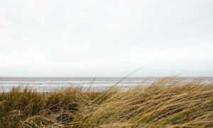 is yumkugu difficult to digest