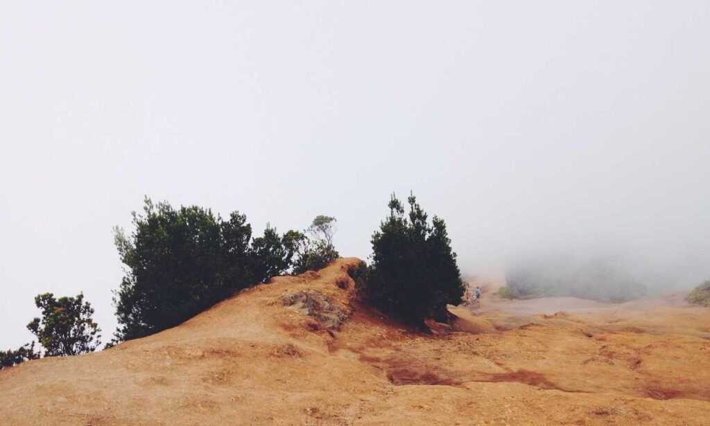 why homiezava hotel so expensive