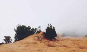 why homiezava hotel so expensive