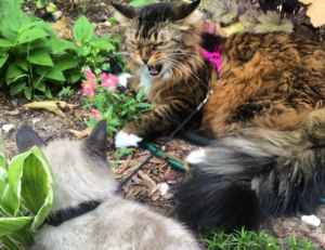 cute girly_m 3 best friends