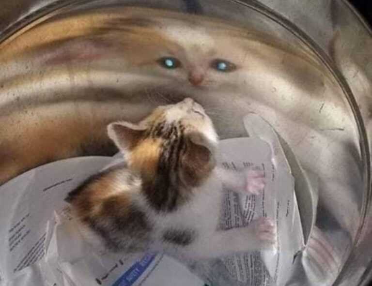 dibujos de flores a lapiz tumblr