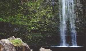 kerri gribble only fans leak