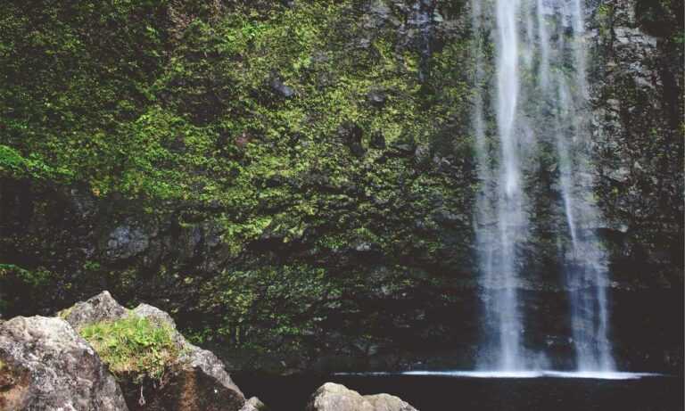 kerri gribble only fans leak