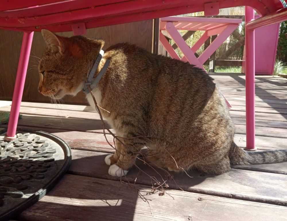 mia bailey leaked onlyfans