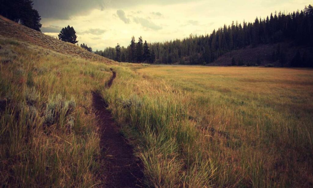 tortas de memes para hombres