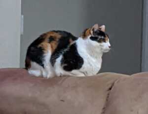 whatsapp frases tristes para llorar