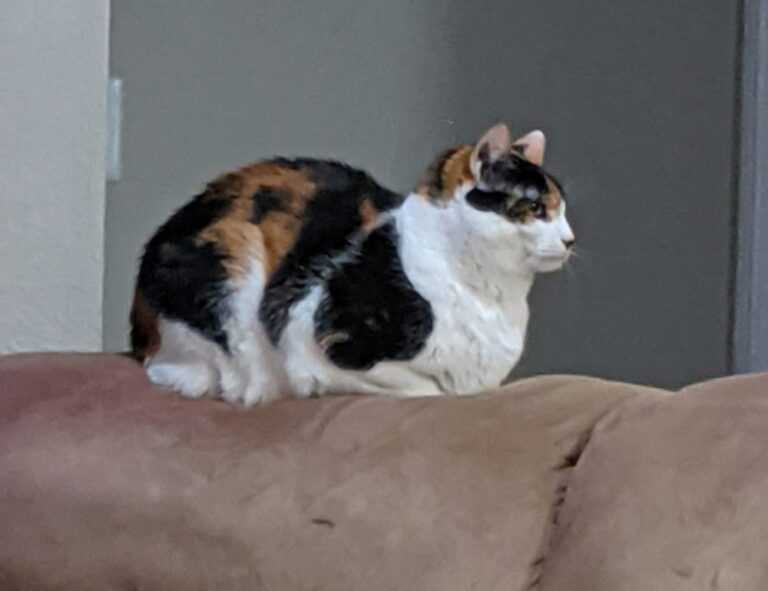 whatsapp frases tristes para llorar