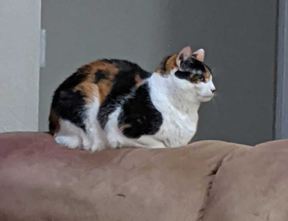 whatsapp frases tristes para llorar