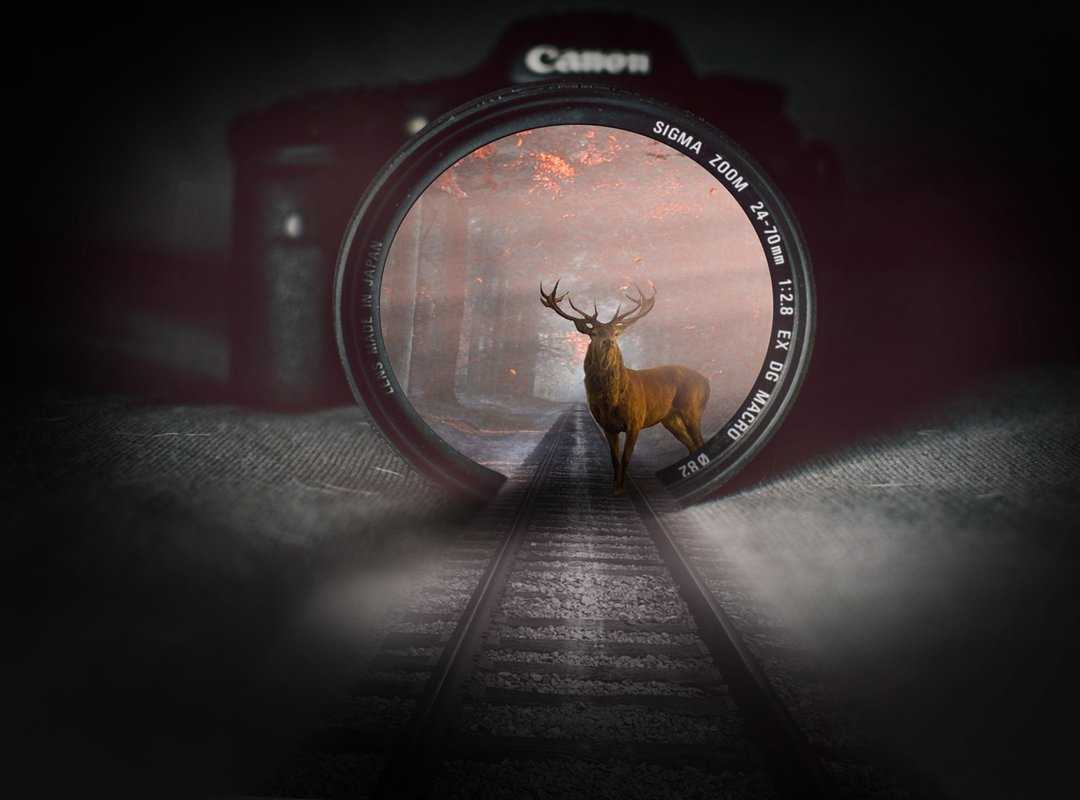 Fitness Guide Shmghealth