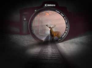 Health Advice Shmghealth