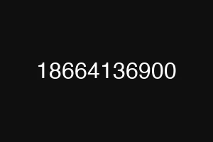 18664136900
