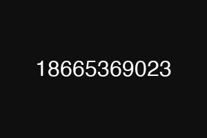 18665369023