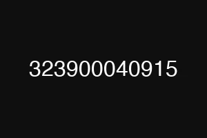 323900040915