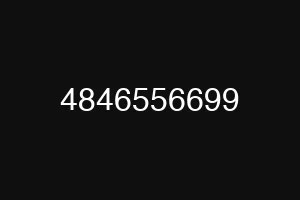 4846556699
