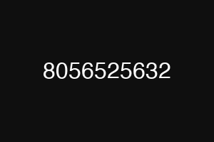 8056525632