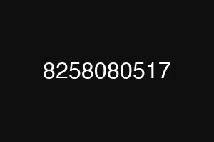 8258080517