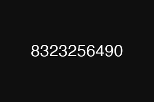 8323256490