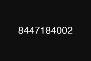 8447184002