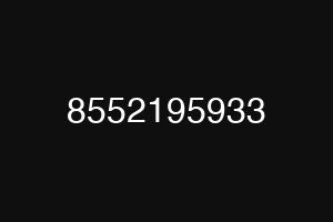 8552195933