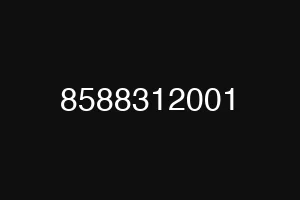 8588312001