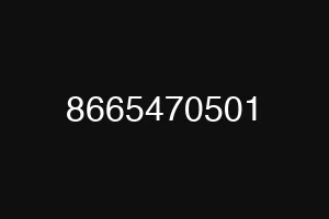 8665470501