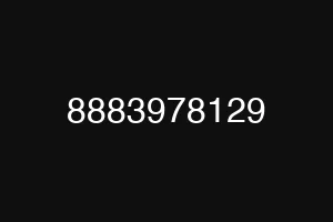 8883978129