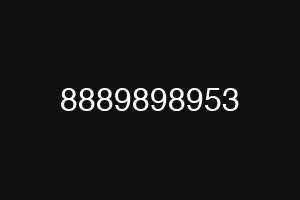 8889898953