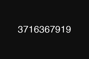 3716367919