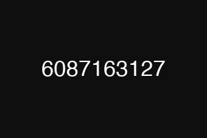6087163127