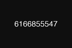 6166855547