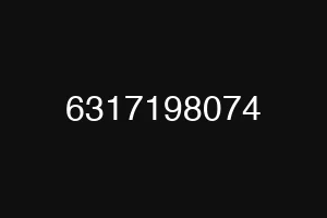 6317198074
