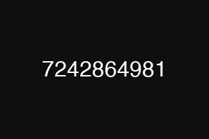 7242864981