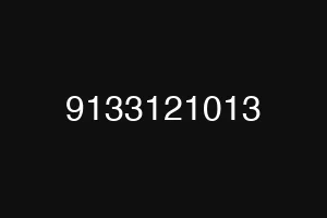 9133121013